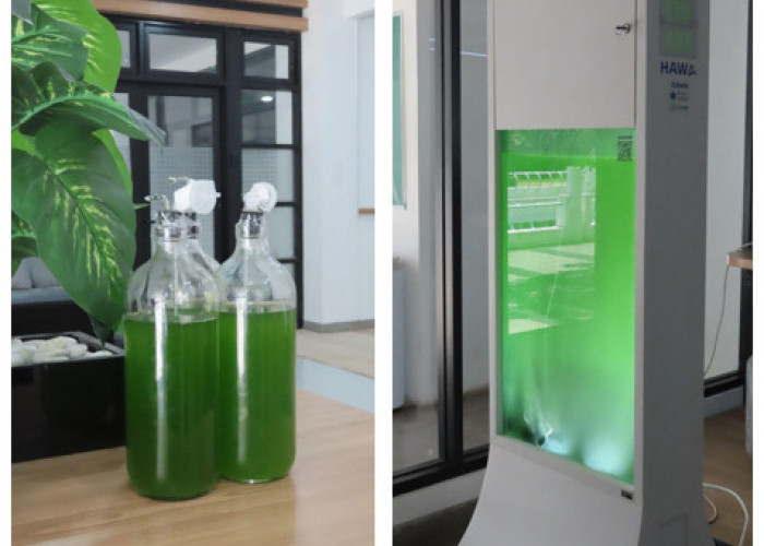 Greenlabs Perkenalkan G-Algae Sebagai Solusi Penangkapan Karbondioksida dan Sumber Biomassa