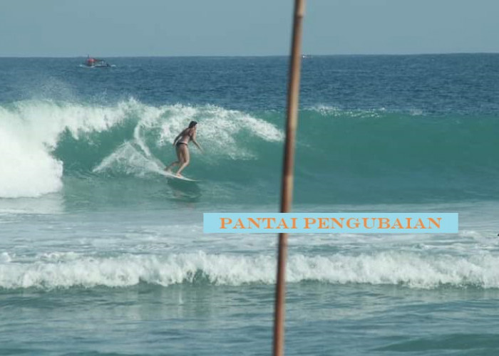 Olahraga Selancar Semakin Digemari, 5 Pantai di Kaur Bengkulu Miliki Ombak Terbaik