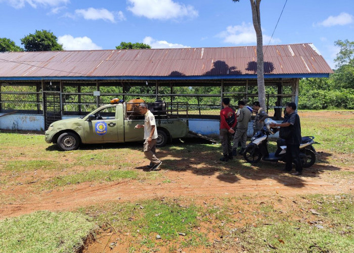 22 Ternak Liar Tangkapan Satpol PP Segera Lelang, Ini Jadwal, Syarat dan Ketentuannya!