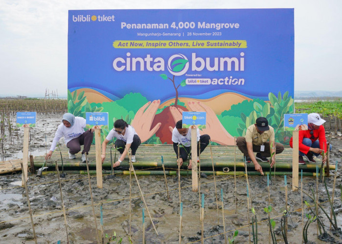 Blibli Tiket dan LindungiHutan Berhasil Menanam 4.000 Mangrove di Mangunharjo Semarang