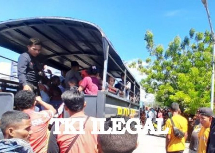 Polisi Gagalkan Penyelundupan 33 TKI Ilegal Jalur Kalimantan Utara, Ada dari Kaur?