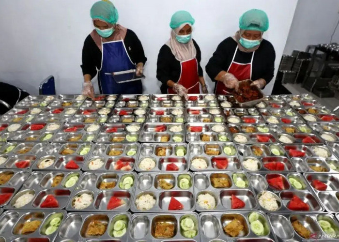 KDMP dan UMKM Jadi Mitra Strategis Program MBG