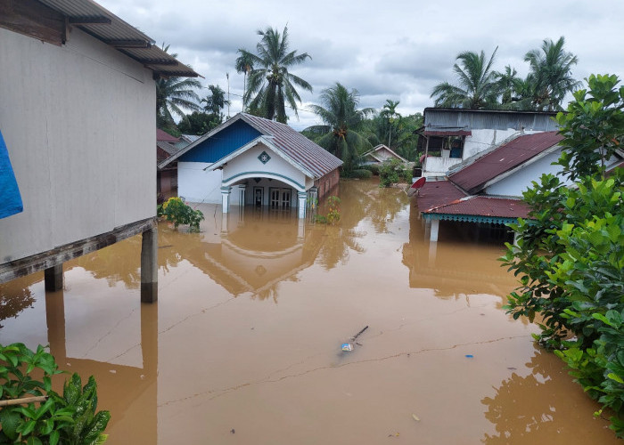 INFOGRAFIS BENCANA ALAM: Dampak Banjir, 2 orang Hilang, 73 Rumah Terendam, 1 Jembatan Rusak