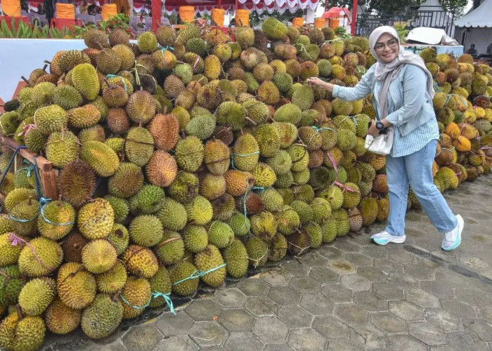 Tiongkok Target Pasar Durian dan Kelapa asal Indonesia 
