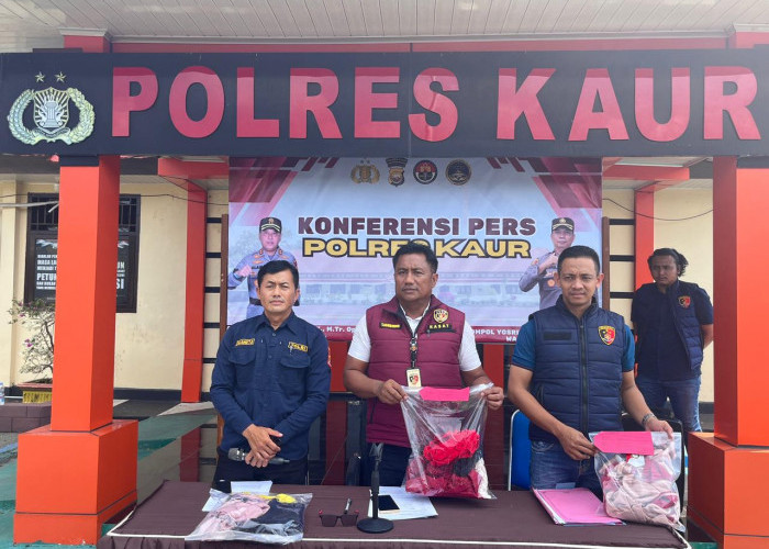 Polres Kaur Ungkap Kasus Kekerasan Seksual Terhadap Anak di Bawah Umur
