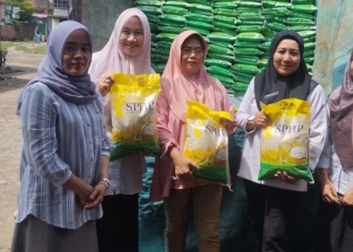 Dinas Kopurindag Kaur Pengawasan Pendistribusian Beras SPHP