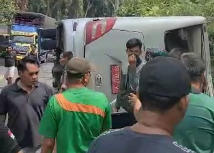 BREAKING NEWS : Bus yang Ditumpangi 30 Atlet Junior Inkanas Kaur Terbalik, Kabarnya Ada Terluka