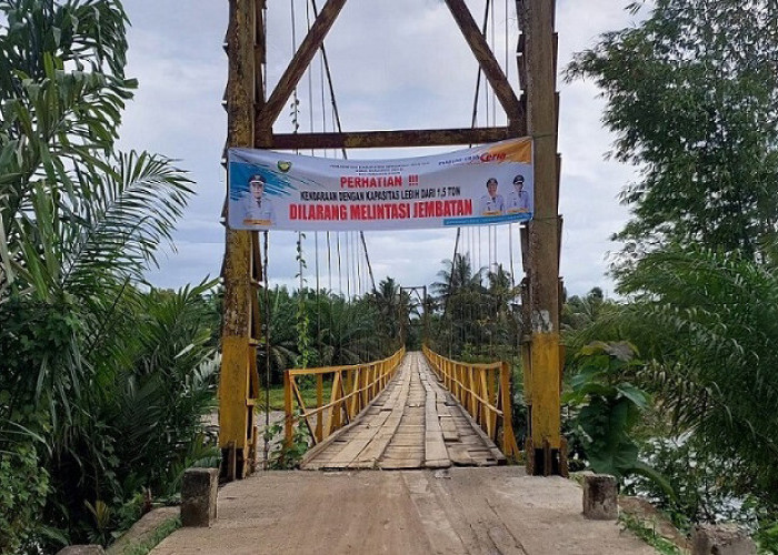Jembatan Penghubung Desa Butuh Palang Pembatas
