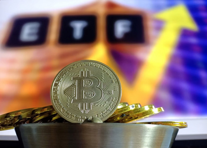 Investasi Kripto Jangka Panjang Mengesankan, Eksekutif Bitwise: ETF Bitcoin Bisa Catat Rekor Arus Masuk