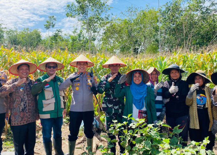 Kapolres Kaur Apresiasi Peran Petani Jagung Dukung Swasembada Pangan