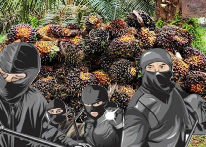 Modus Ninja Sawit Terbongkar, Polsek Amankan 2 Pelaku dan 1 Ton Barang Bukti