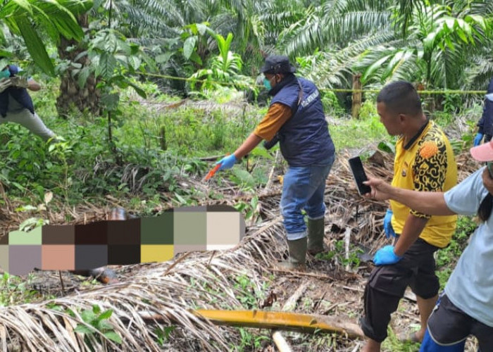 Polres Kaur Olah TKP Lokasi Penemuan Mayat, Keluarga Tolak Visum dan Autupsi, Alasannya Ini!