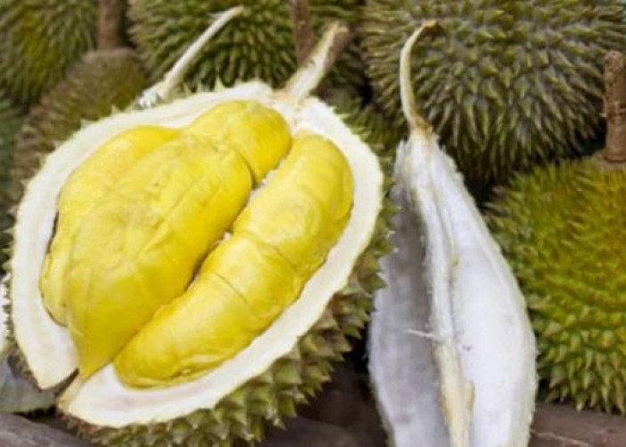 Mabuk Durian? Ini Langkah Penanganannya