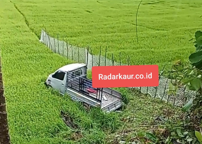 Gara-gara Jalan Licin, Mobil Nyungsep ke Sawah di Desa Mentiring