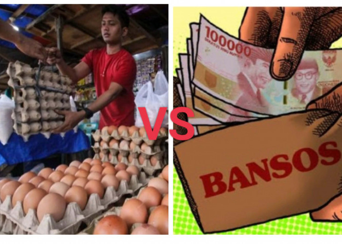 Telur Ayam vs Bansos! Harga Telur Naik Bersamaan Turunnya Bansos