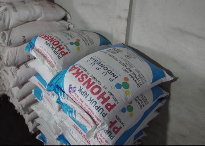 Kadis Pertanian Kaur Warning Tim Verifikasi Pupuk Bersubsidi: Jangan Validasi Jika Melanggar!