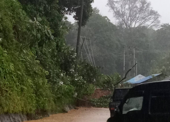 Hujan Deras di Kaur, 2 Rumah Terendam, Tiang Listrik Roboh Dihantam Longsor