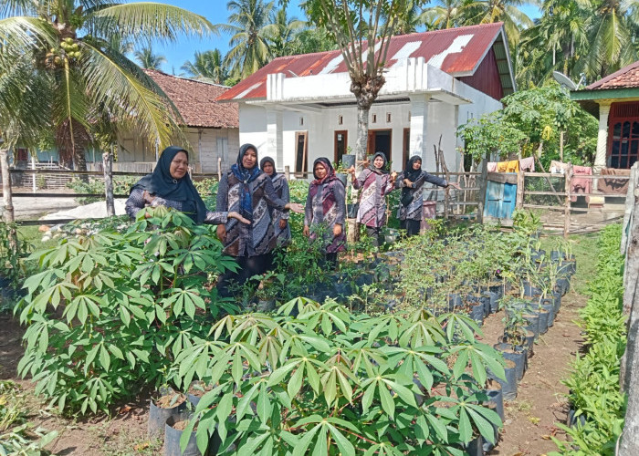 Tim PKK Desa Awat Mata Manfaatkan Pekarangan jadi Kebun Sayur dan Toga