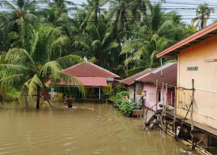 Peringatan Dini BMKG Bengkulu 8 April 2026, Hujan Lebat Disertai Petir Ancam Sejumlah Wilayah 