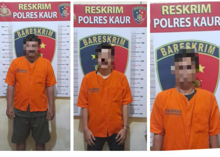 BREAKING NEWS: 3 Warga Ditangkap di Kaur Kasus Dugaan Pidana Perikanan, 2 Diantaranya Berasal dari Lampung