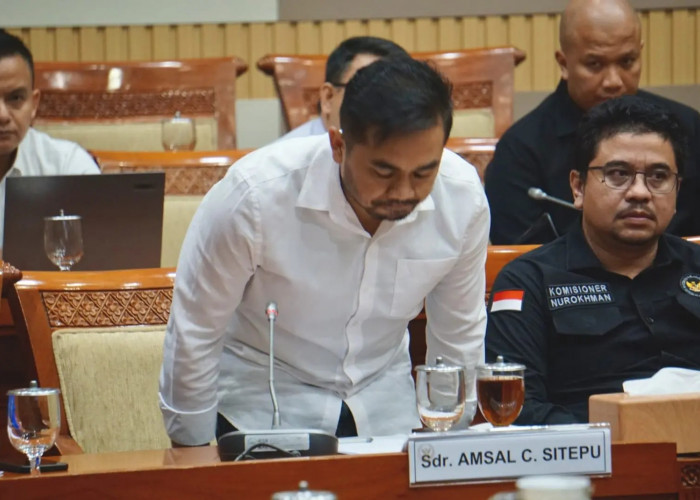 Alarm Bahaya dari Kasus Amsal Sitepu bagi Industri Kreatif saat Kreativitas dihargai Nol