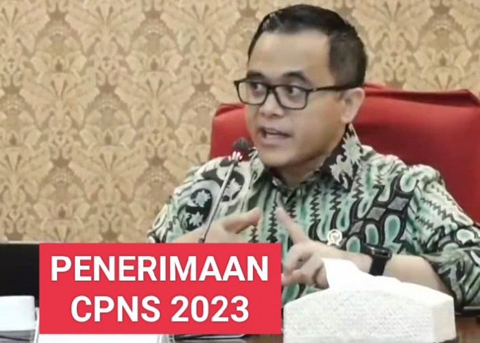 Formasi CPNS dan PPPK 2023 Diserahkan Hari Ini, Tenaga Honorer Mungkin Kecewa, Kamis 3 Agustus 2023