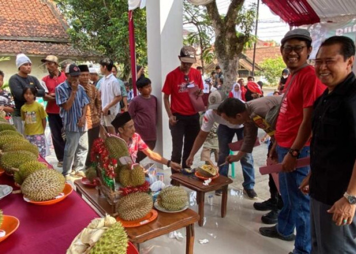Kontes Durian Lokal Digelar Akhir Agustus