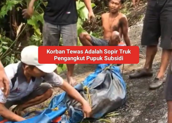 BREAKING NEWS: Truk Pengangkut Pupuk Subsidi Terjun di Jurang Bukit Manulla Tebing Batu