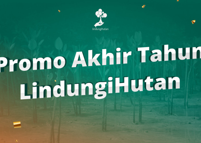 Tawaran Spesial Akhir Tahun dari LindungiHutan: Berlaku hingga 5 Januari, Nikmati Diskon untuk Menanam Pohon 