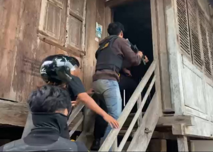 Rencana Operasi Sarang Narkoba di Padang Guci Hulu Diduga Bocor, TO Polres Kaur Kabur Duluan