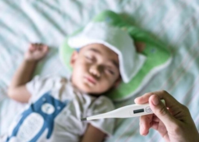 Waspada Bayi Tertular Demam Berdarah, Kenali Tanda DBD pada Bayi
