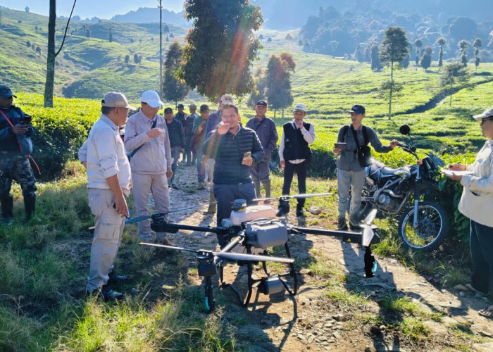 Halo Robotics Berhasil Menguji Drone Pertanian di Perkebunan Teh