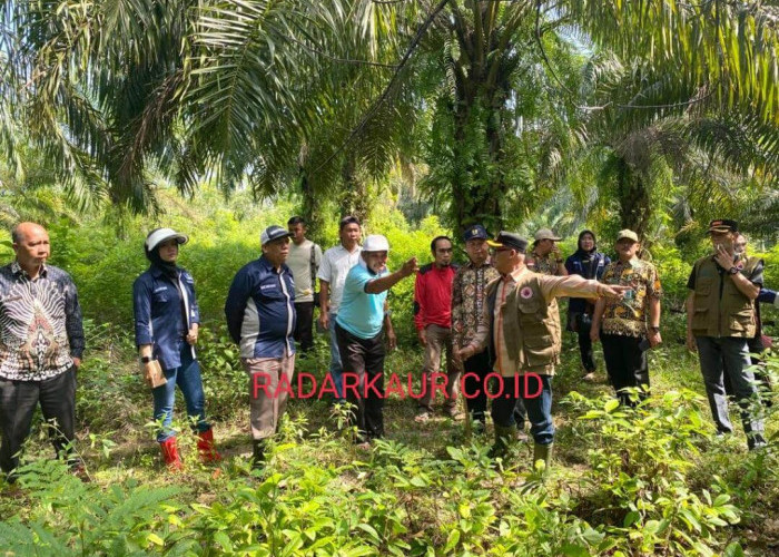 Titik Nol Jalan Baru di Padang Kempas