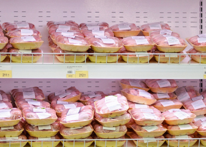 Menjaga Harga Daging Ayam tetap stabil, Pemerintah memberlakukan impor daging ayam bebas bea tahun 2024
