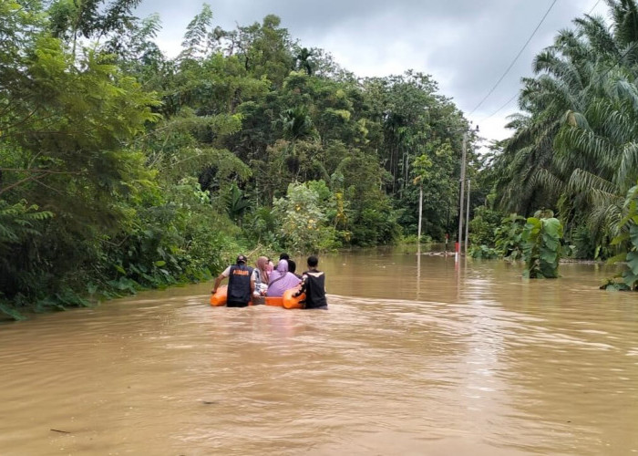 Banjir Bandang di Kaur Rendam 2 Kecamatan, BPBD Turunkan Perahu Penyelamatan