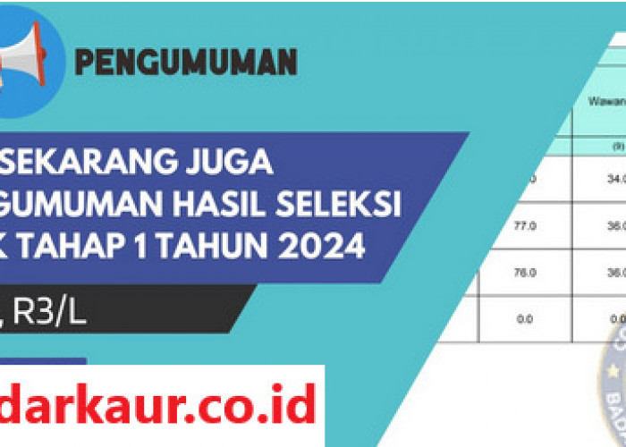 Pengumuman Kelulusan PPPK 2024 Tahap I Kabupaten Kaur Molor Tahun Depan?