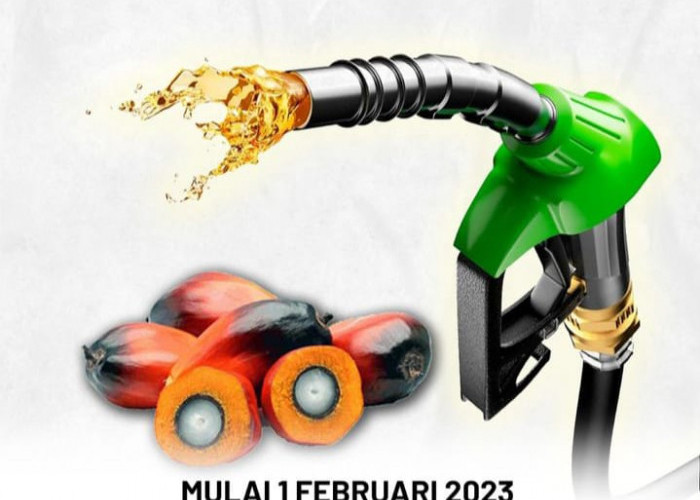 Fakta Menarik BBM Sawit! Cek Kualitas dan Harga B35 yang Berlaku di Indonesia mulai 1 Februari 2023