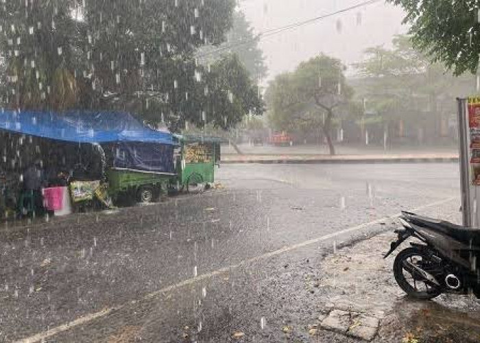 Masyarakat Diimbau Pantau Cuaca Provinsi Bengkulu, Potensi Hujan, Suhu 24°C