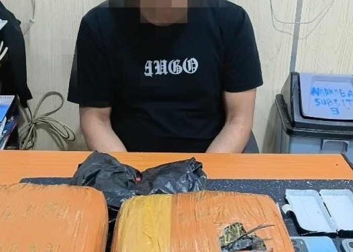 Ditresnarkoba Polda Bengkulu Ringkus Terduga Bandar Narkoba asal Kaur, 2 Kg Ganja dan Paket Sabu ikut Disita