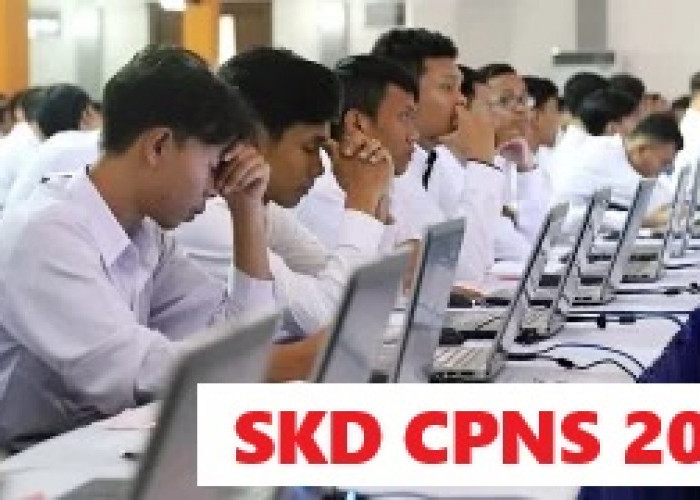 Wajib Ditaati Peserta Tes SKD CPNS 2024, Abaikan Peraturan BKN Nomor 5 Tahun 2024 Mimpi jadi PNS Buyar!