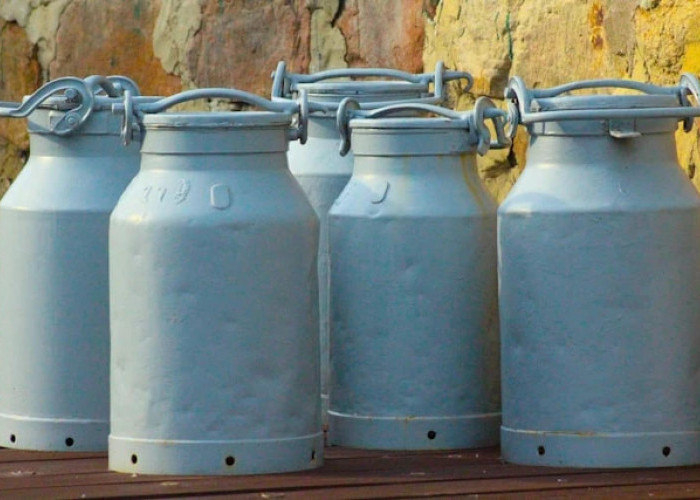 DME Digadang jadi Pengganti LPG, Namun Proyek Belum Jalan, Ini Alasan ESDM!