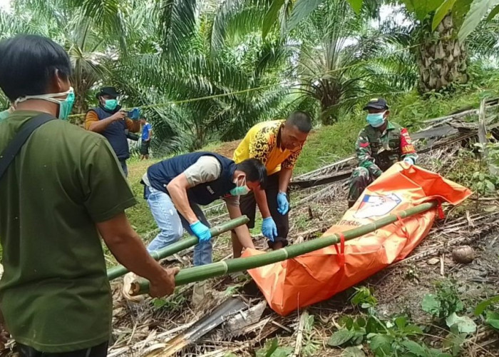 BREAKING NEWS: Warga Desa Talang Marap Temukan Jenazah Membusuk di Kebun Sawit