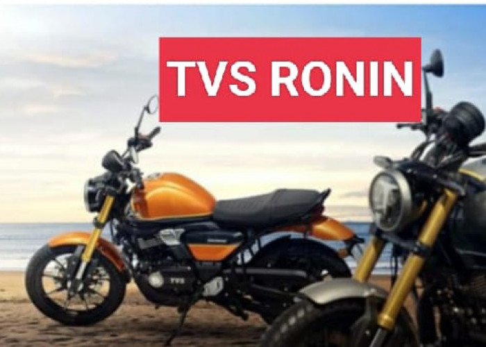 INFO BOCORAN : TVS Ronin Dirilis Juli 2023 di Indonesia, Pecinta Motor Sport Retro Modern Ancer-Ancer