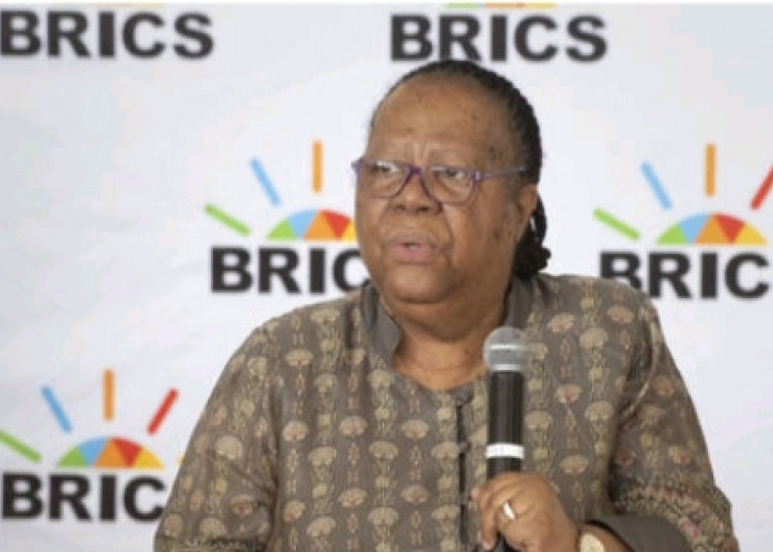 Afrika Selatan menjadi tuan rumah lebih dari 30 kepala negara di KTT BRICS, 20 Negara Ajukan Keanggotaan