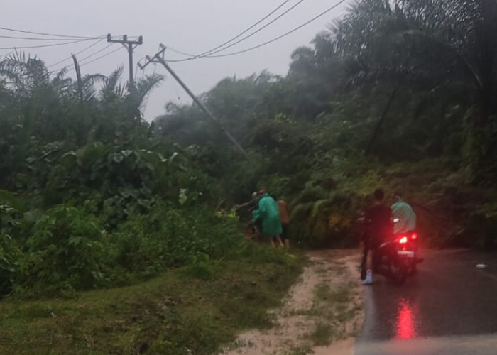 BREAKING NEWS: 4 Ruas Jalan Provinsi di Kaur Lumpuh Dihajar Banjir dan Tanah Longsor