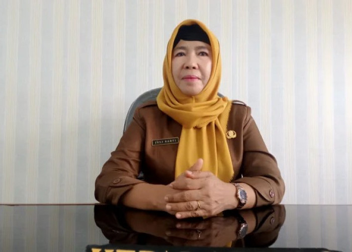 Kembangkan Wisata Kabupaten Kaur, Dinas Pariwisata Kunjungi Dispar Pesisir Barat