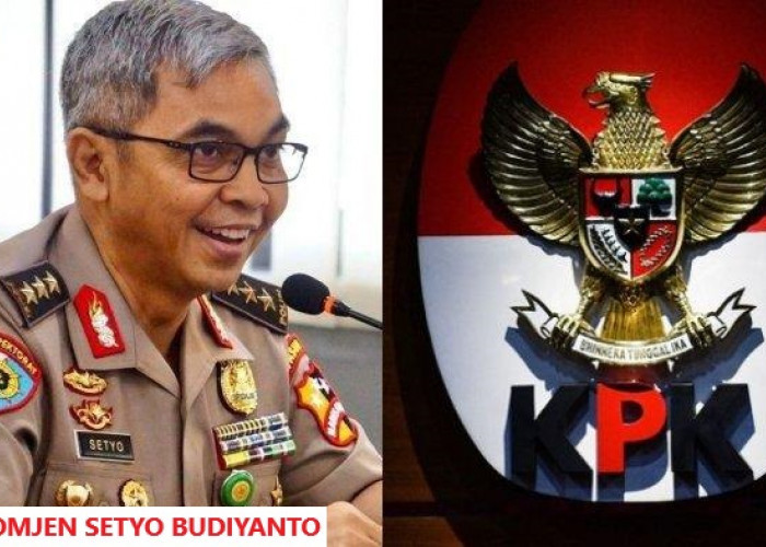 Profil Setyo Budiyanto, Ketua KPK Periode 2024-2029