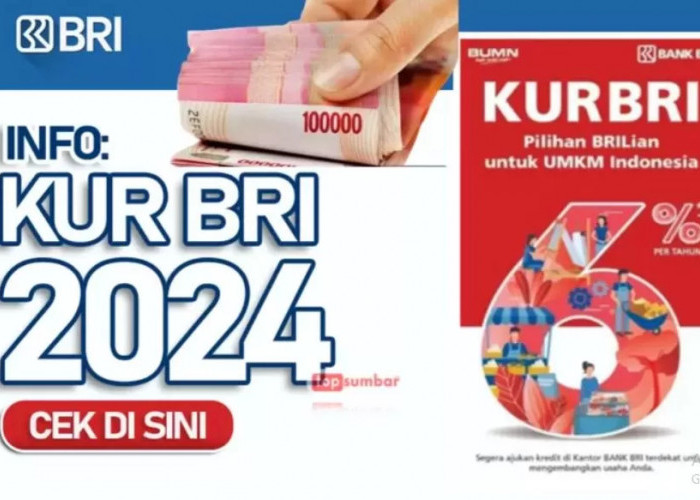 KUR BRI Solusi untuk Bisnis Anda, Berikut Syarat dan Tabel Cicilan KUR BRI 29 November 2024