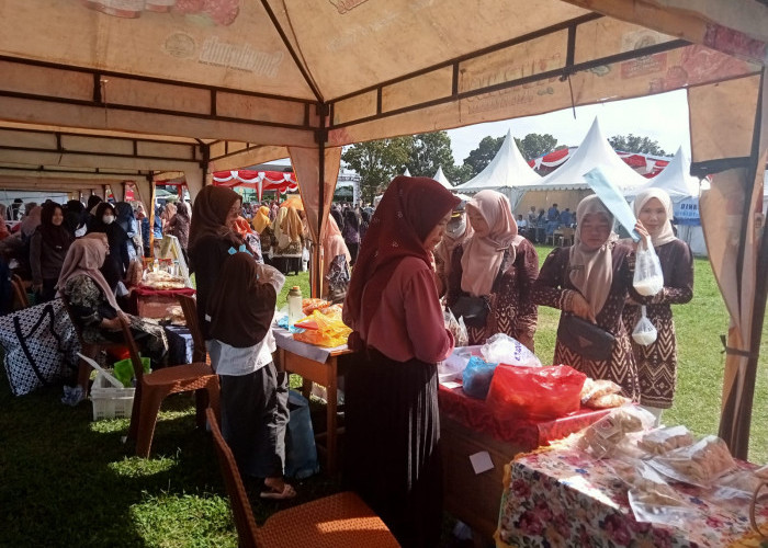 Bikin NIB Cepat dan Mudah, Pelaku UMKM Disarankan Segera Buat
