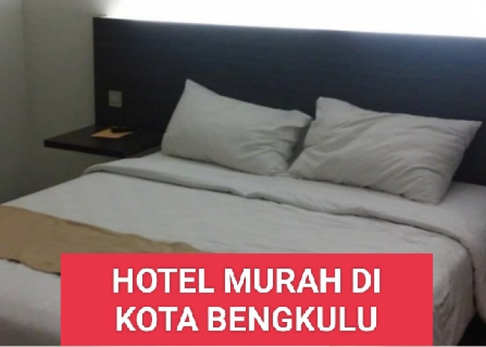 7 Hotel Murah di Kota Bengkulu, Cocok buat Staycation Libur Sekolah, Harga  Mulai dari Rp 70 Ribuan